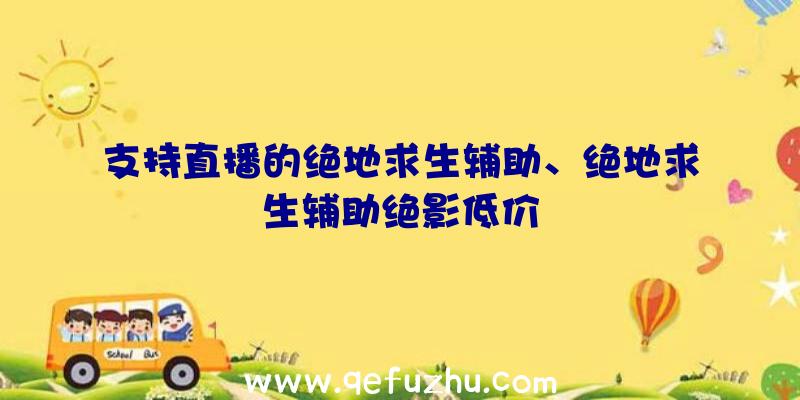 支持直播的绝地求生辅助、绝地求生辅助绝影低价