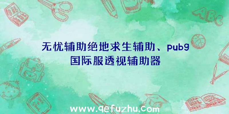 无忧辅助绝地求生辅助、pubg国际服透视辅助器