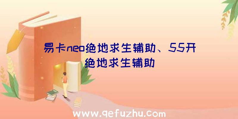 易卡neo绝地求生辅助、55开绝地求生辅助