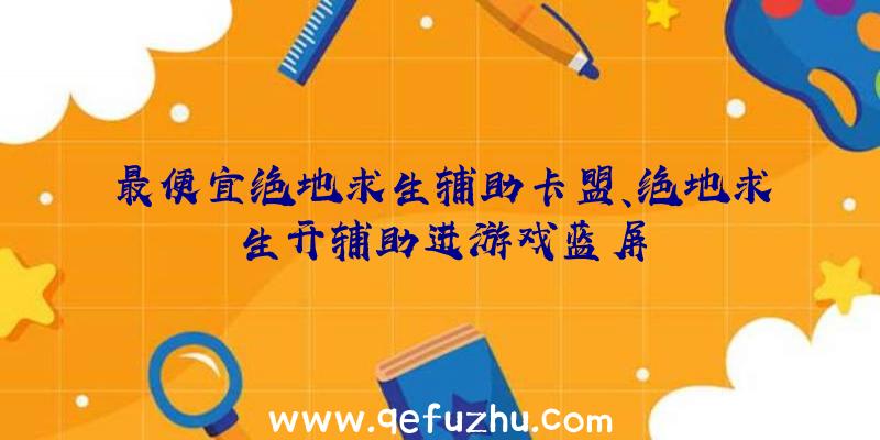 最便宜绝地求生辅助卡盟、绝地求生开辅助进游戏蓝屏