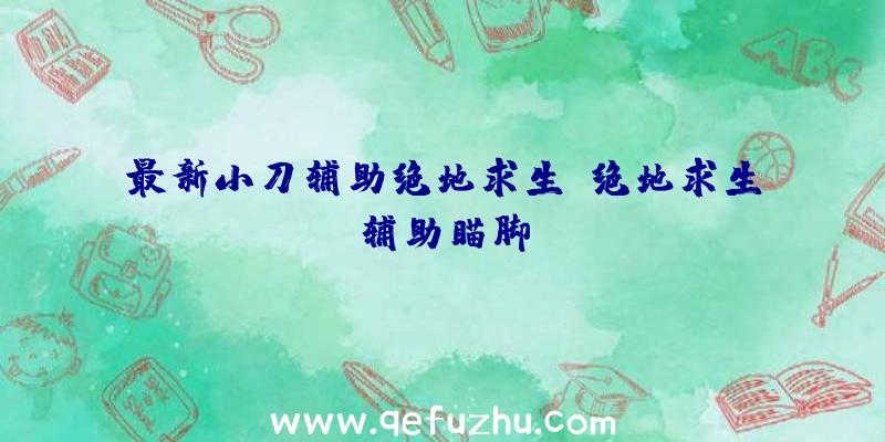 最新小刀辅助绝地求生、绝地求生辅助瞄脚