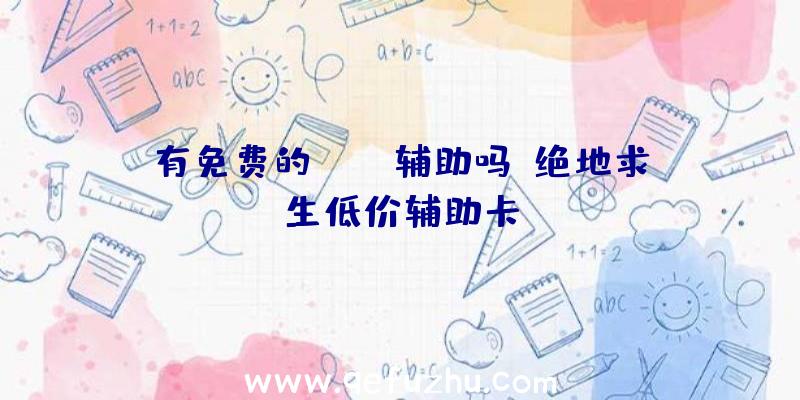 有免费的pubg辅助吗、绝地求生低价辅助卡