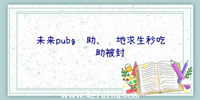 未来pubg辅助、绝地求生秒吃药辅助被封