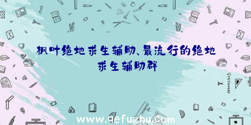 枫叶绝地求生辅助、最流行的绝地求生辅助群