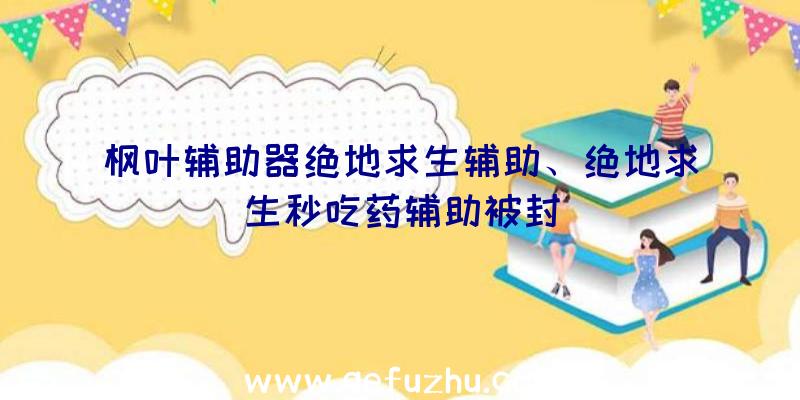 枫叶辅助器绝地求生辅助、绝地求生秒吃药辅助被封