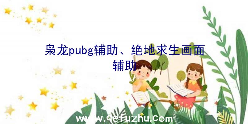 枭龙pubg辅助、绝地求生画面辅助