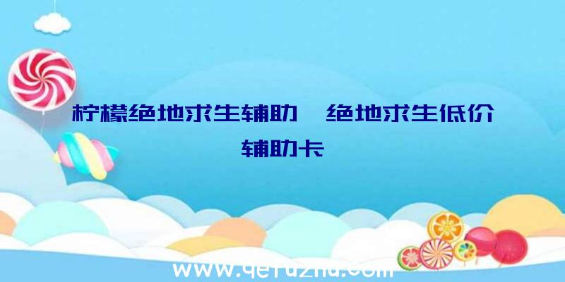 柠檬绝地求生辅助、绝地求生低价辅助卡