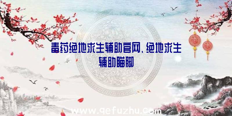 毒药绝地求生辅助官网、绝地求生辅助瞄脚