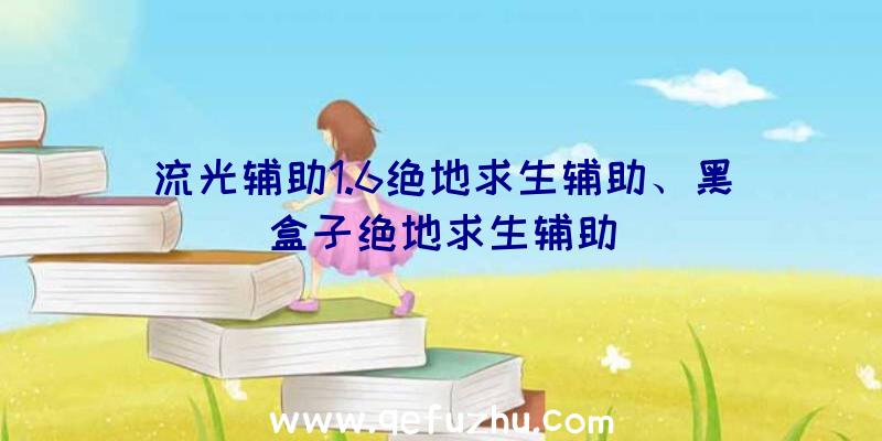 流光辅助1.6绝地求生辅助、黑盒子绝地求生辅助