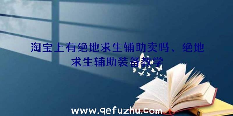 淘宝上有绝地求生辅助卖吗、绝地求生辅助装备教学