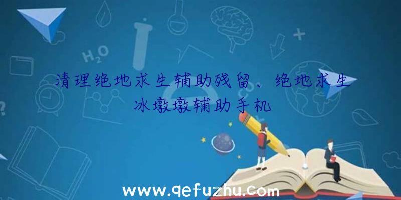 清理绝地求生辅助残留、绝地求生冰墩墩辅助手机