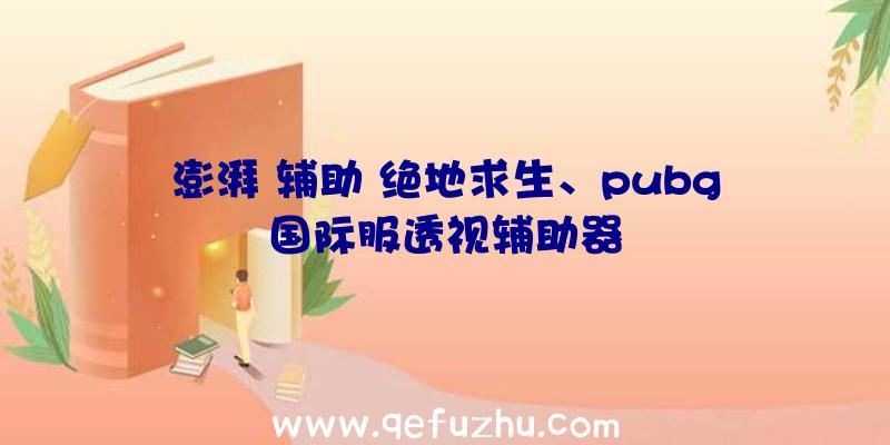 澎湃+辅助+绝地求生、pubg国际服透视辅助器