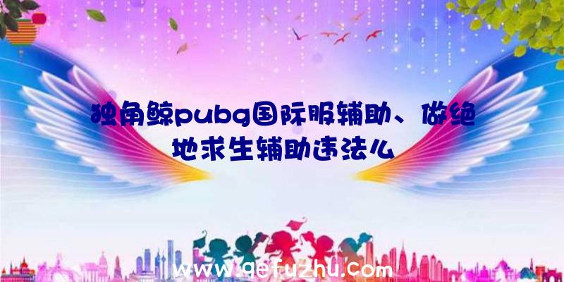 独角鲸pubg国际服辅助、做绝地求生辅助违法么