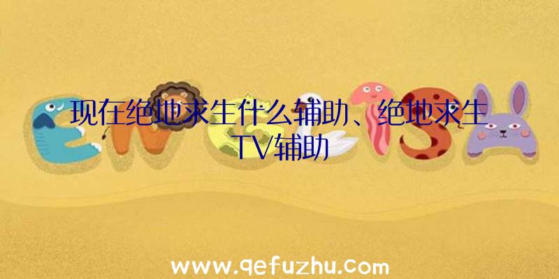 现在绝地求生什么辅助、绝地求生TV辅助