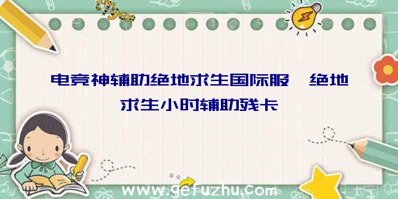 电竞神辅助绝地求生国际服、绝地求生小时辅助残卡