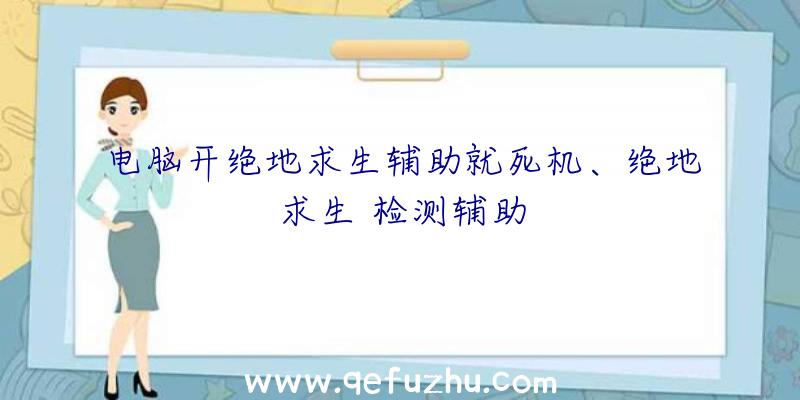 电脑开绝地求生辅助就死机、绝地求生