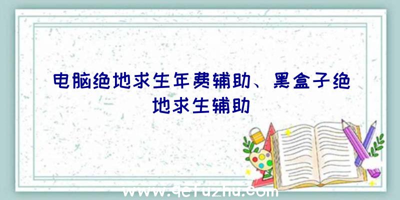 电脑绝地求生年费辅助、黑盒子绝地求生辅助