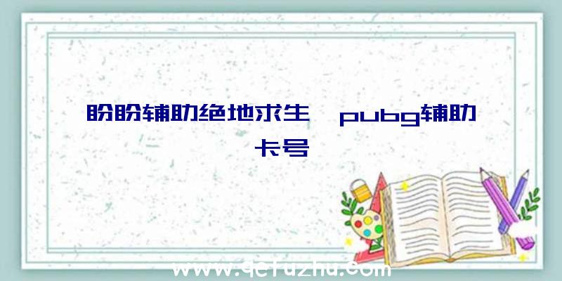 盼盼辅助绝地求生、pubg辅助卡号