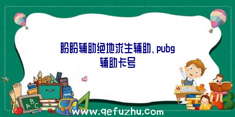 盼盼辅助绝地求生辅助、pubg辅助卡号