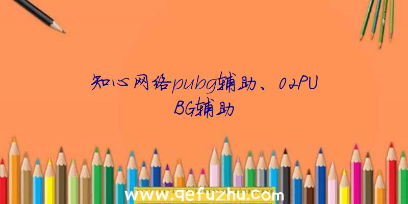 知心网络pubg辅助、02PUBG辅助