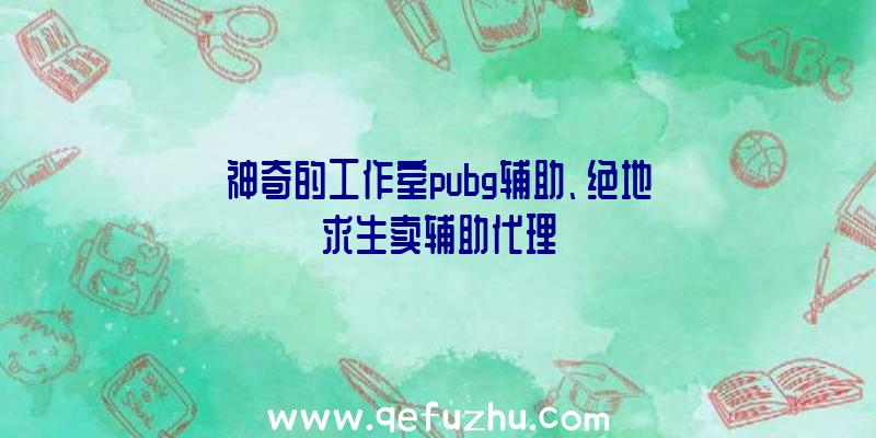 神奇的工作室pubg辅助、绝地求生卖辅助代理