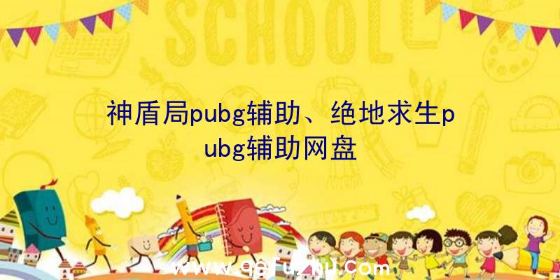 神盾局pubg辅助、绝地求生pubg辅助网盘