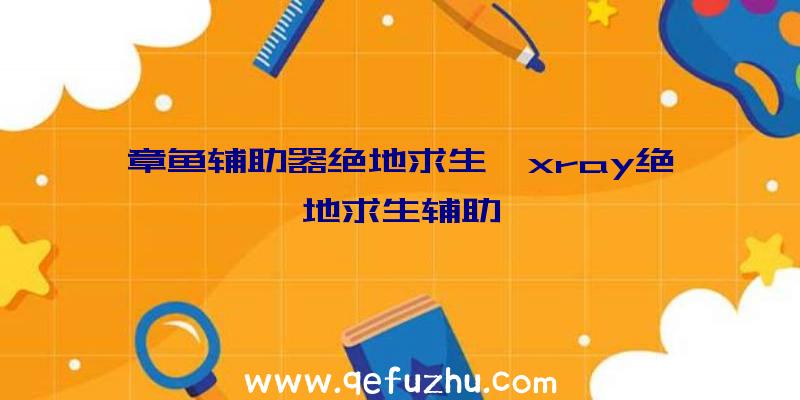 章鱼辅助器绝地求生、xray绝地求生辅助