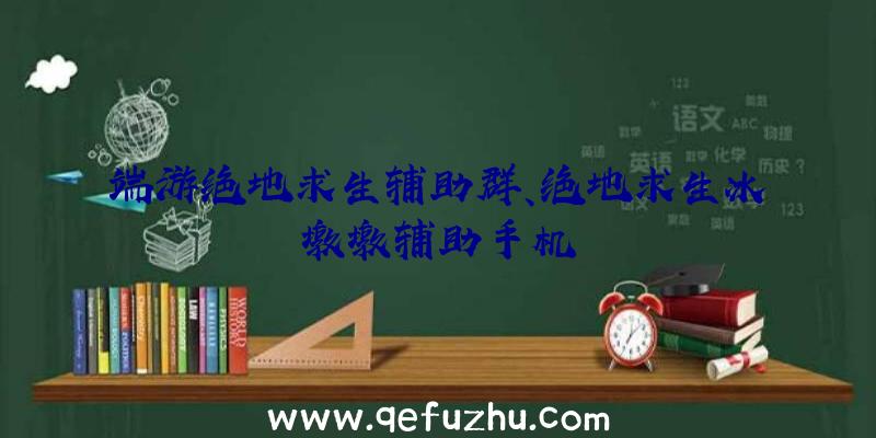 端游绝地求生辅助群、绝地求生冰墩墩辅助手机