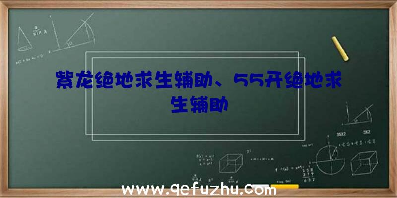 紫龙绝地求生辅助、55开绝地求生辅助