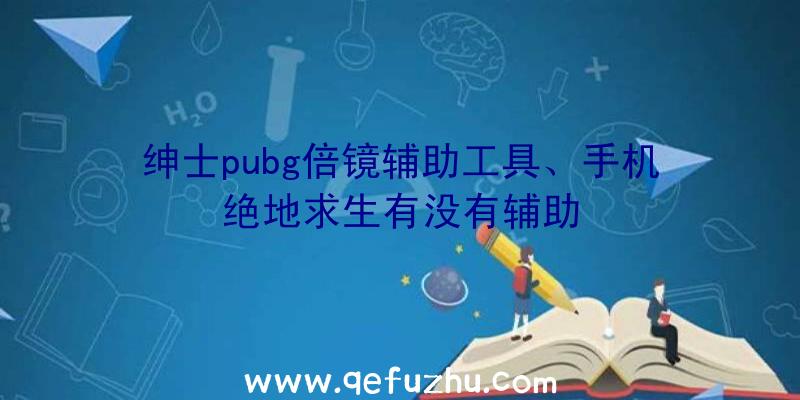 绅士pubg倍镜辅助工具、手机绝地求生有没有辅助