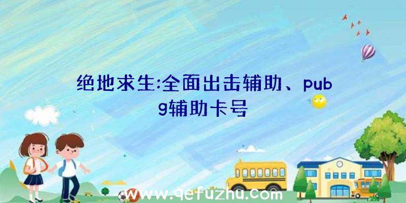 绝地求生:全面出击辅助、pubg辅助卡号