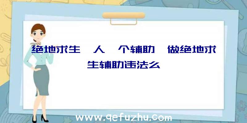 绝地求生一人一个辅助、做绝地求生辅助违法么