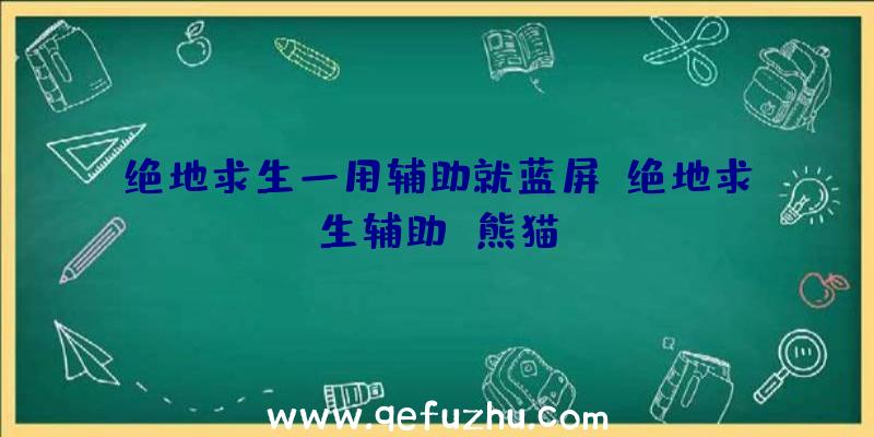 绝地求生一用辅助就蓝屏、绝地求生辅助