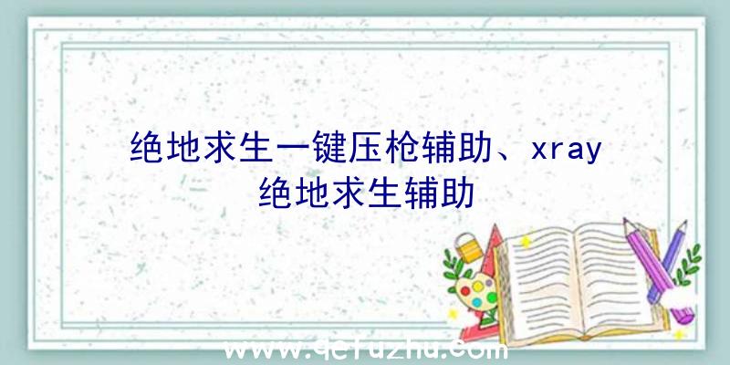 绝地求生一键压枪辅助、xray绝地求生辅助