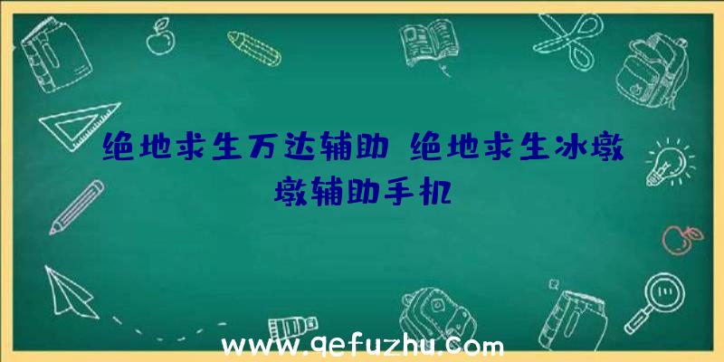 绝地求生万达辅助、绝地求生冰墩墩辅助手机