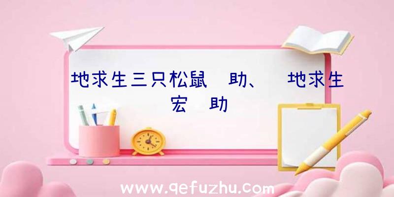 绝地求生三只松鼠辅助、绝地求生宏辅助