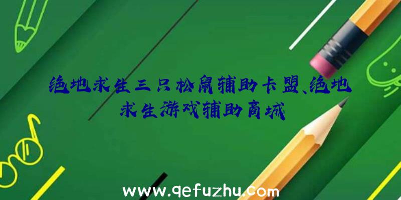 绝地求生三只松鼠辅助卡盟、绝地求生游戏辅助商城