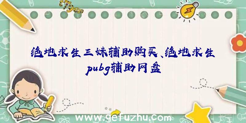 绝地求生三妹辅助购买、绝地求生pubg辅助网盘