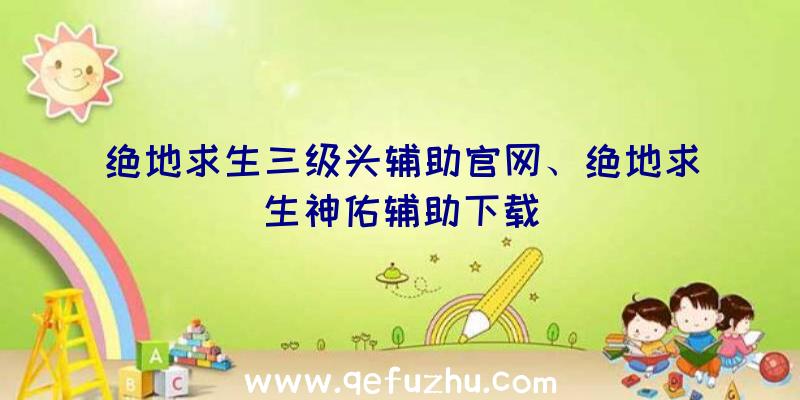 绝地求生三级头辅助官网、绝地求生神佑辅助下载