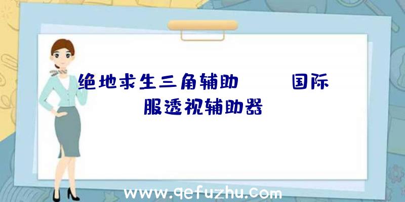 绝地求生三角辅助、pubg国际服透视辅助器