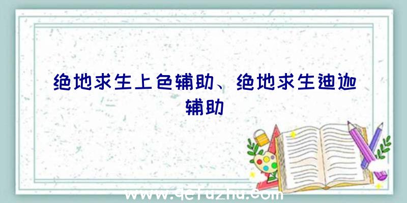 绝地求生上色辅助、绝地求生迪迦辅助