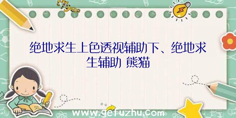 绝地求生上色透视辅助下、绝地求生辅助