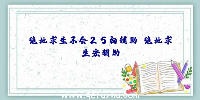 绝地求生不会25的辅助、绝地求生宏辅助