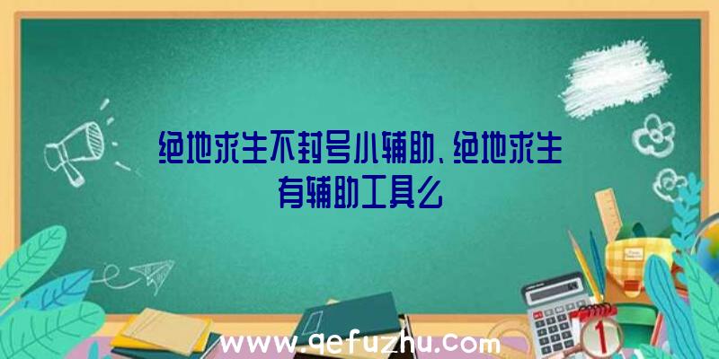 绝地求生不封号小辅助、绝地求生有辅助工具么