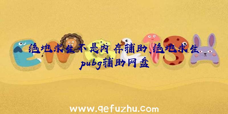 绝地求生不是内存辅助、绝地求生pubg辅助网盘