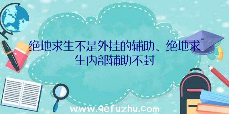 绝地求生不是外挂的辅助、绝地求生内部辅助不封