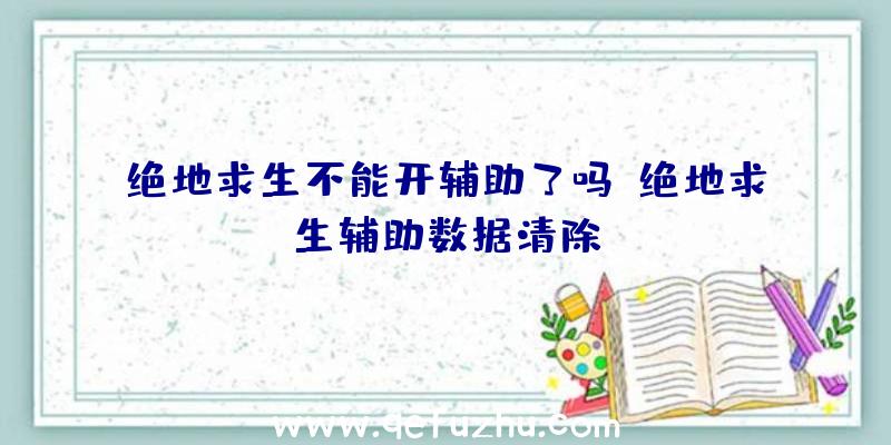 绝地求生不能开辅助了吗、绝地求生辅助数据清除