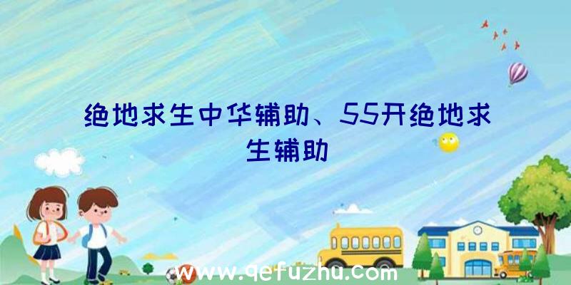 绝地求生中华辅助、55开绝地求生辅助