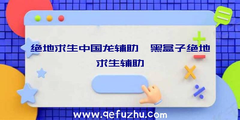 绝地求生中国龙辅助、黑盒子绝地求生辅助