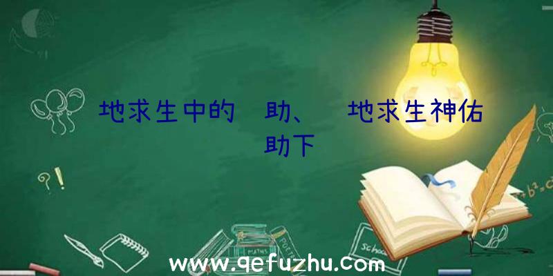 绝地求生中的辅助、绝地求生神佑辅助下载